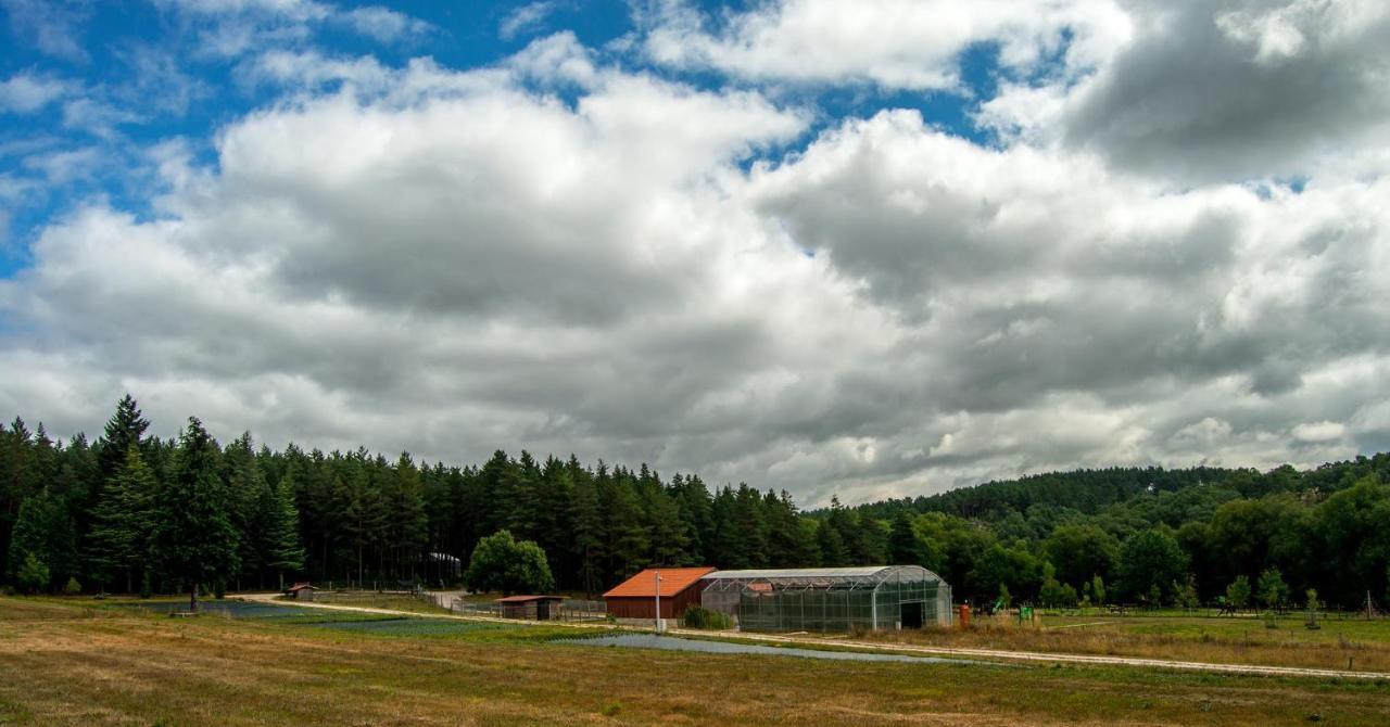 Boticas Parque Natur Houses Exterior photo
